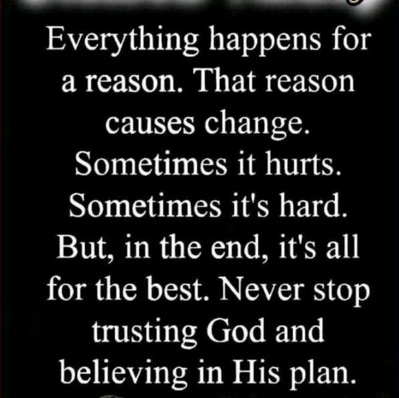 Please CLICK the Notification BELL and Share To Be Notified Of My Next Live Show - Picture 5 of 14